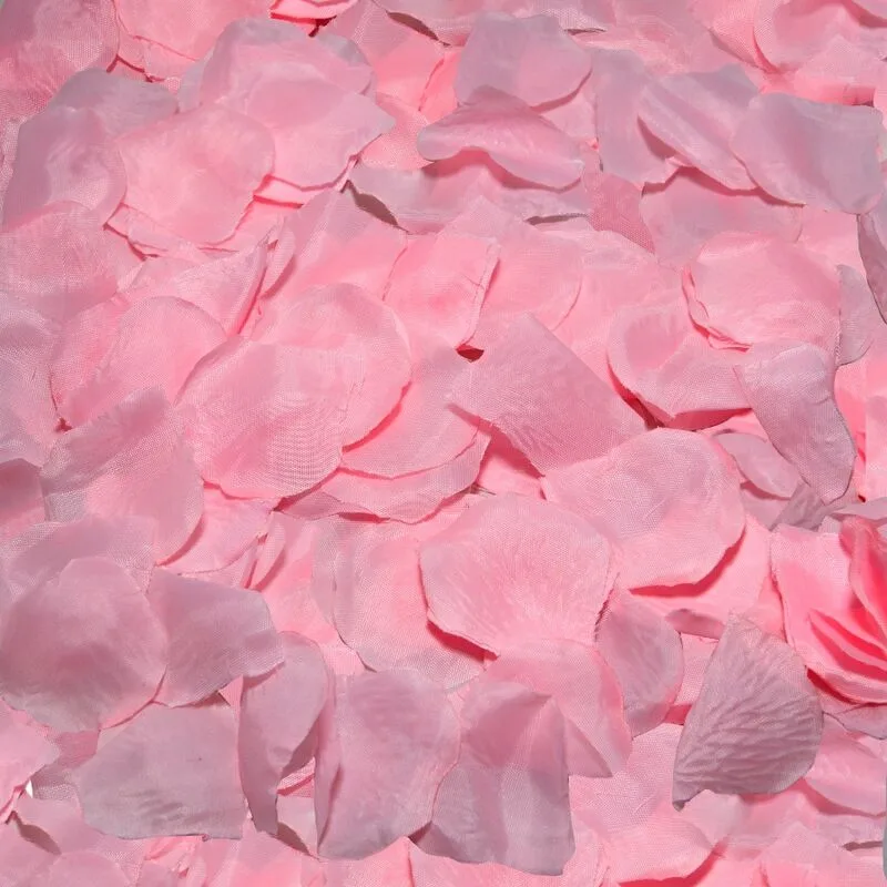 Diablo Picante – 100 Pink Rose Petals for Romantic Ambiance