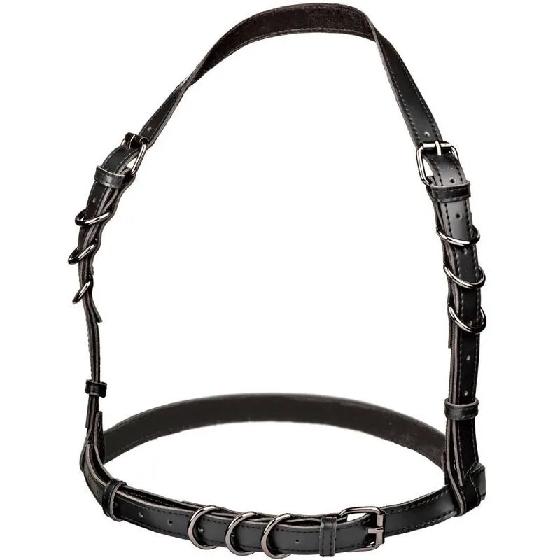 CalExotics - Euphoria Plus Size Halter Buckle Harness i Svart