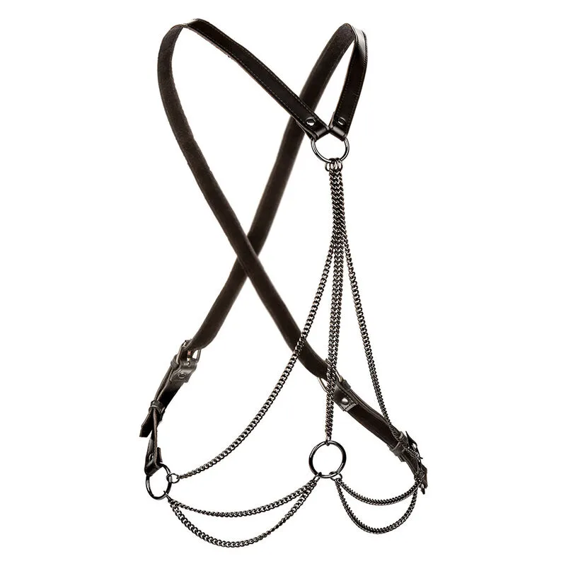 Calexotics - Euphoria Collection Plus Size Multi-Chain Harness Premium